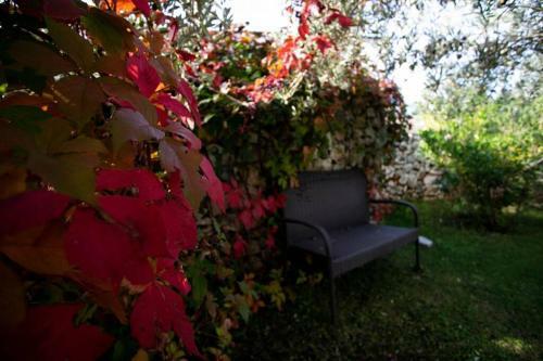 Villa Vacation Home Valsi