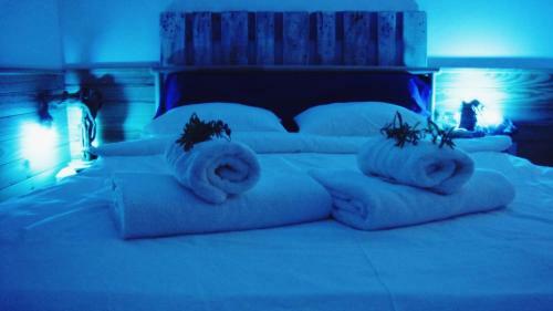 Bed & Breakfast Guesthouse Ca'art�