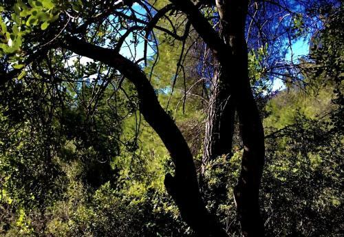 Villa El Cor - Eco Friendly