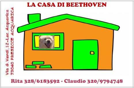 La Casa Di Beethoven