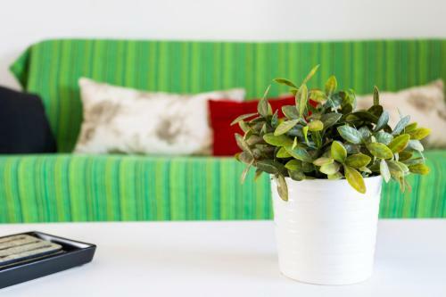 Apartamento Los Pocillos