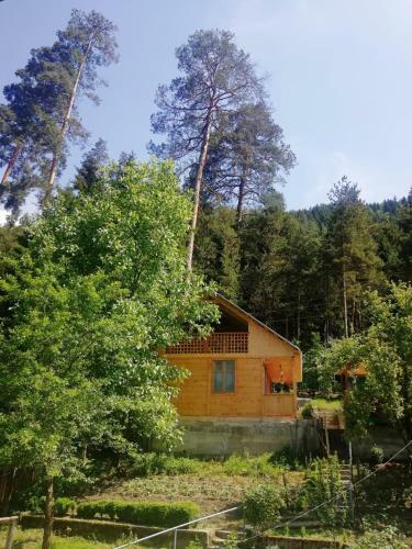 Lodge Guest House Ilia