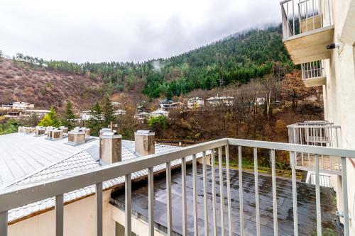 Apartment Borjomi