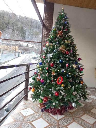Apartamento Guest House Ivo