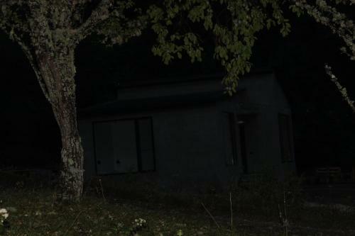 Villa Cozy House In The Forest