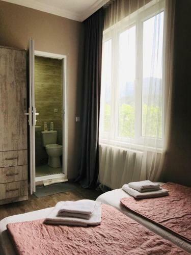 Hostal Guest House Borjomi Valley
