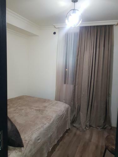 Hostal Borjomi Likani