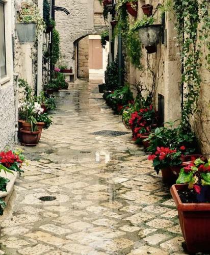 Apartamento Residenza Santa Chiara
