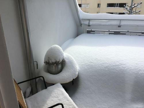 Nice Apartment Engelberg