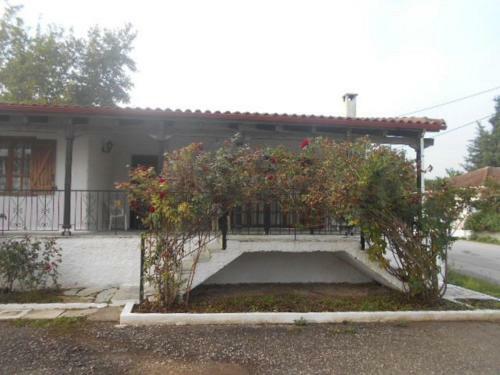 Villa Next To The Aliartos Gardens