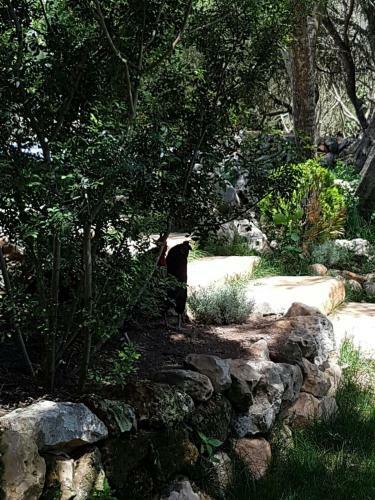 Agroturismo Santa Mariana
