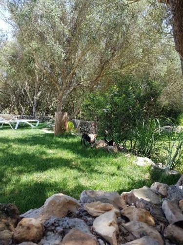 Agroturismo Santa Mariana