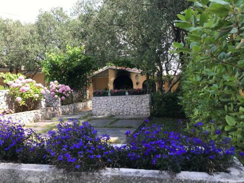Apartamentos Vila Rojana
