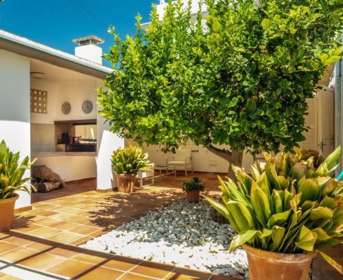 Apartamento Can Pericas Alcudia