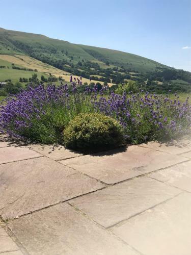 Bed & Breakfast The Celyn
