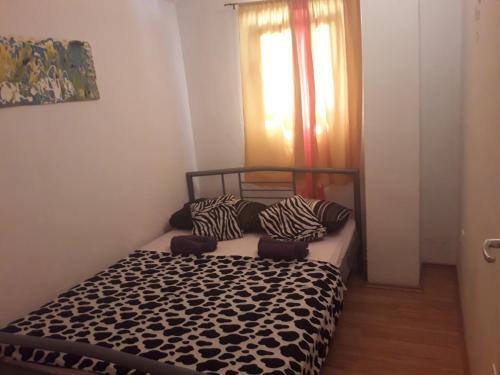 Apartments Dragi?evi?