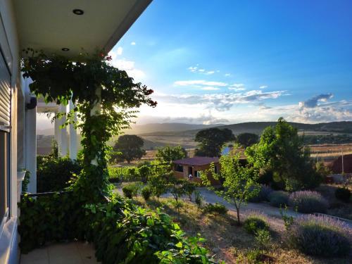 Villa Vineyard Country House With Panoramic Seaview