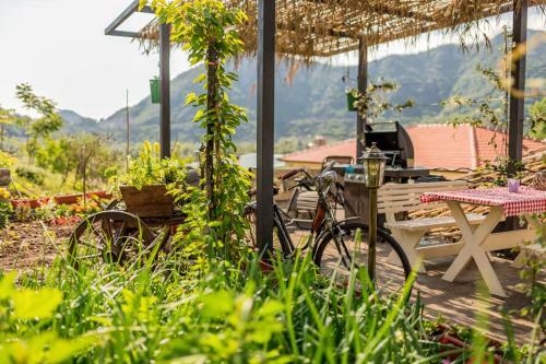 Agroturismo Guest House Luna
