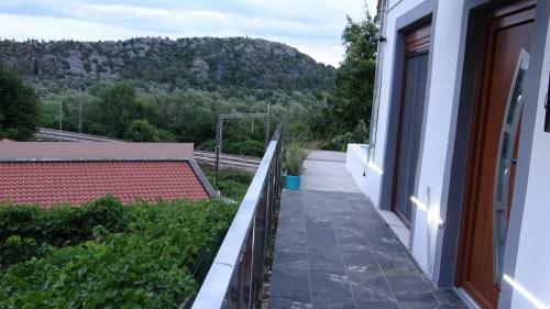 Apartment Kraljica Jelena