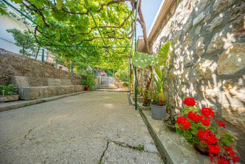 Bed & Breakfast Ethno House Osobak