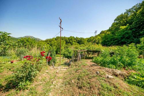 Bed & Breakfast Ethno House Osobak