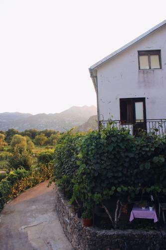 Agroturismo Studio And Winery Kalimut
