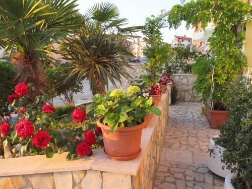Hostal Studio Apartments Romina