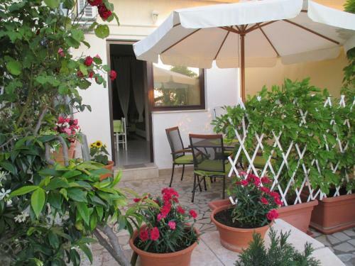 Hostal Studio Apartments Romina
