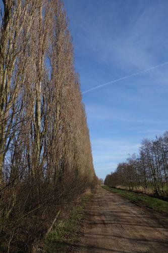 Am Gutspark