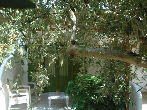 Leros Eleonas Apartments
