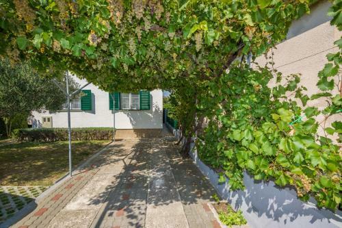 Apartman Goga