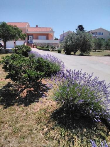 Villa Maslina