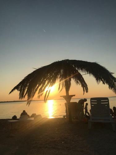 Apartments Anton I Martina