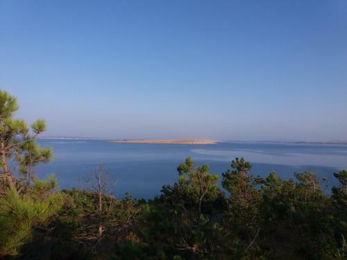 Dikka Apartment Vrsi - Mulo Zadar