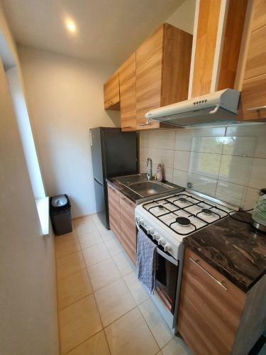 Vidzemes-17 Apartaments