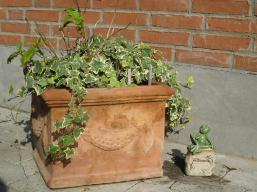 Apartamento Hellesvang
