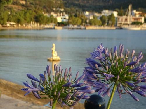 Agroturismo Blue Dreams