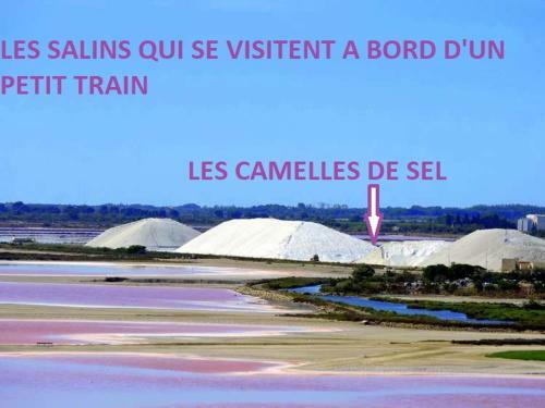 Apartamento Studio Avec Jardin Et Parking Priv�