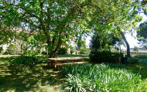 Hostal La Maison Du M�le