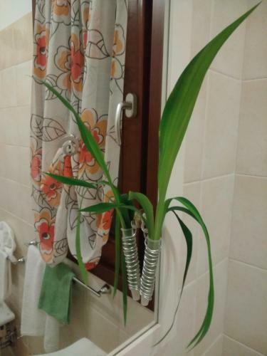 Apartamento Appartamento Il Brocciolo