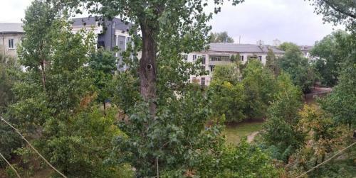Historical Center. Tree View Apartment