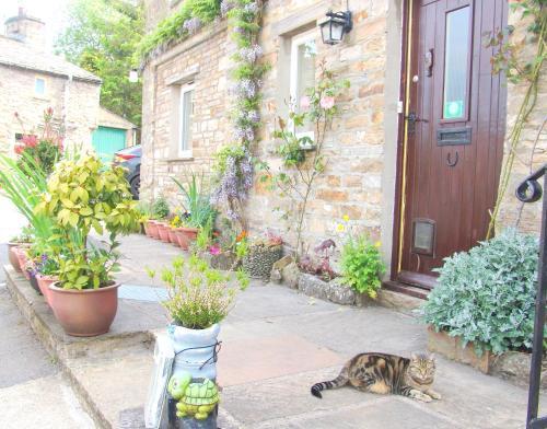 Hazels Roost B&B