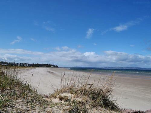 Silverlea
