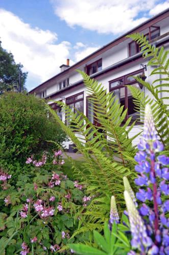 Hostal Ardlogie Guest House