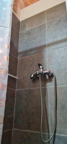 Hostal Razvr?je Co