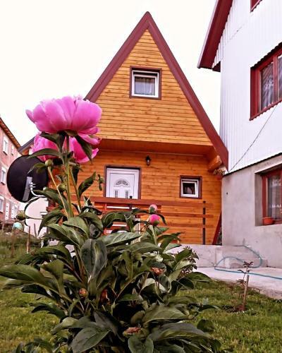 Apartman My Home