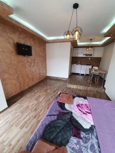 Studio Apartment Lalovi?