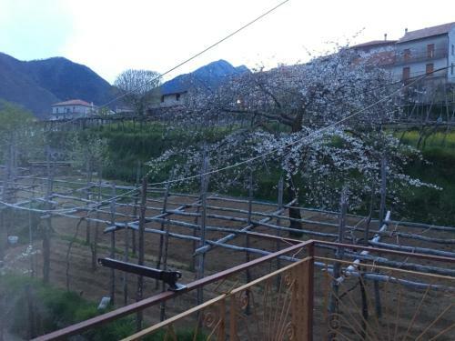Bed & Breakfast Dafne Holiday