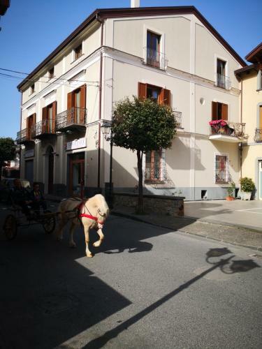 Apartamento Casa Amelia