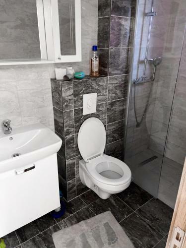 Apartmani Mili